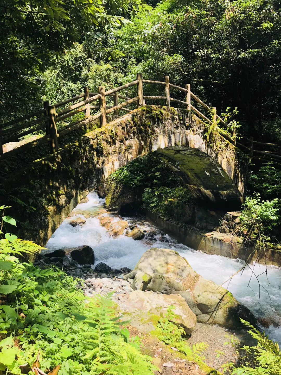 疯狂热气球大冒险